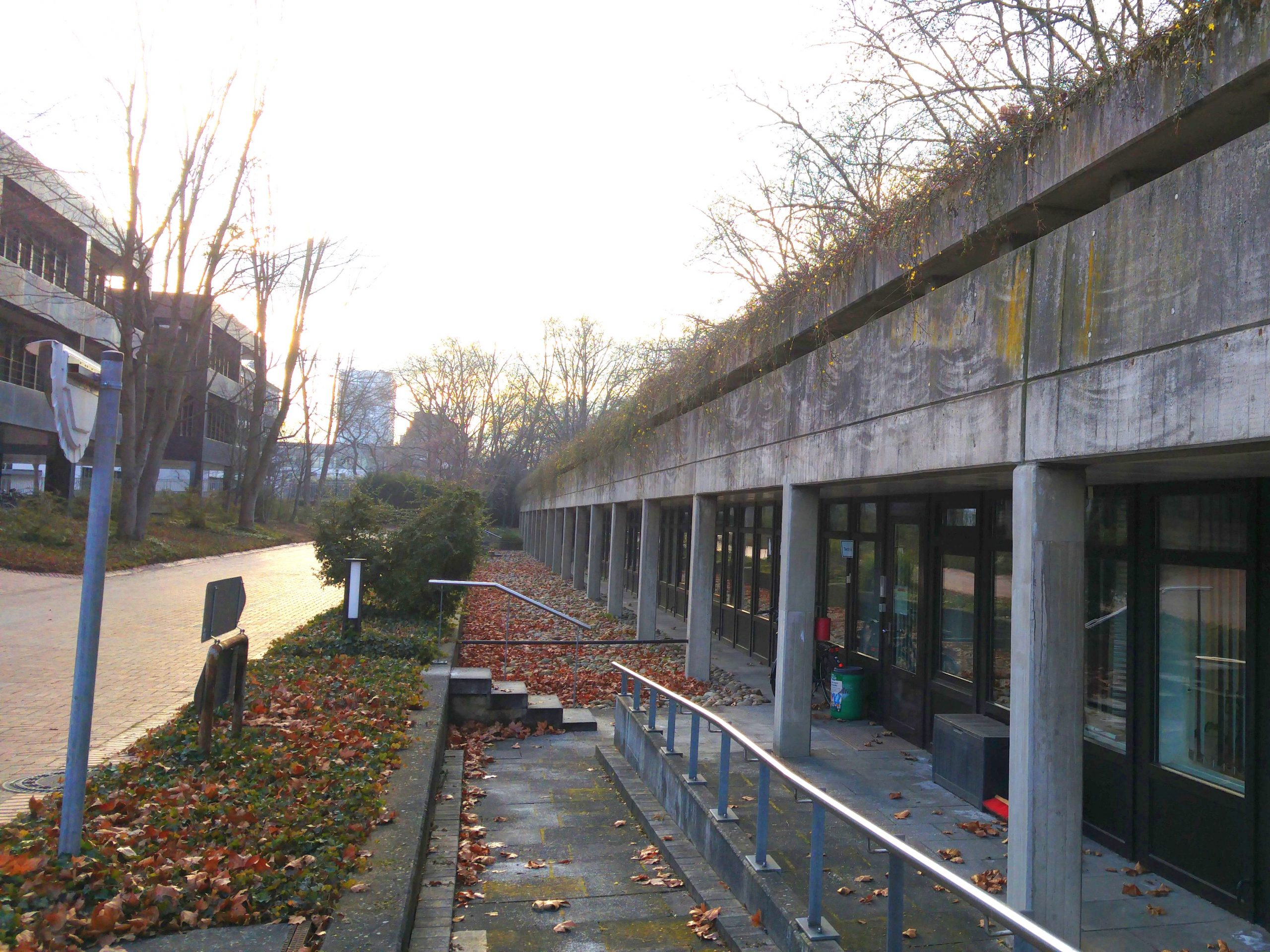 Betonsanierung beim BMZ.